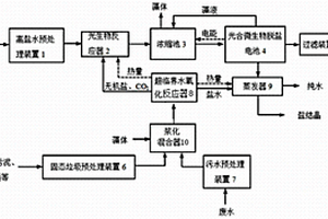 基于微藻的多技術耦合凈化高鹽水系統