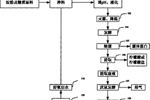以好氧出水為配料水的檸檬酸生產方法