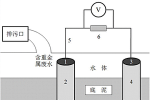 基于濃差電池的水體重金屬污染監測裝置