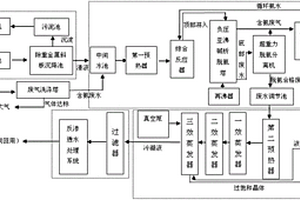 球鎳生產排放污水處理系統