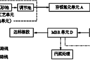 用于低碳源難降解微污染水源的處理系統