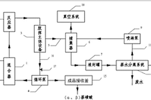 萘連續磺化的生產系統