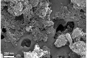 原位再生固廢生物質炭基材料用于吸附治理有機污染物的方法