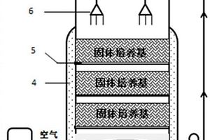 回流式固體發酵生產γ-聚谷氨酸的發酵方法及裝置