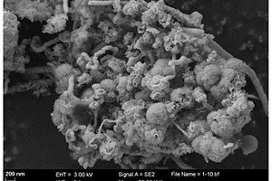 生物質秸稈基磁性固體酸催化劑的制備方法及應用