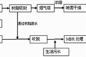 DSD酸生產廢水處理工藝