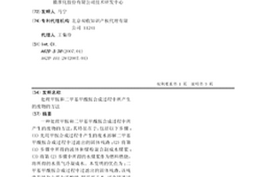 處理甲胺和二甲基甲酰胺合成過程中所產生的廢物的方法