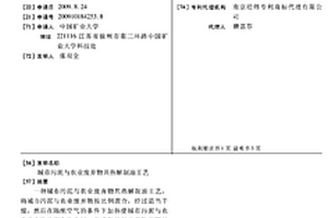 城市污泥與農業廢棄物共熱解制油工藝