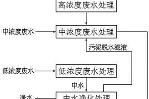 廢水處理工藝及系統