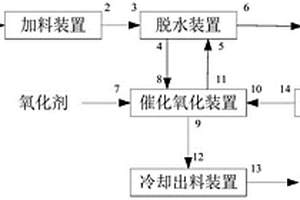 脫除工業固體廢鹽TOC的方法