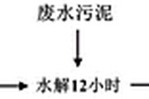 復合酶制備及其處理廢水污泥的方法