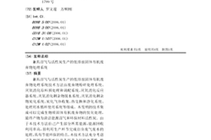 兼具沼氣與活性炭生產的低排放固體有機廢棄物處理系統