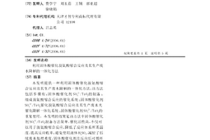 利用固體酸催化溴氨酸縮合反應及其生產廢水降解的一體化方法