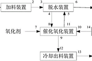 脫除工業固體廢鹽TOC的裝置
