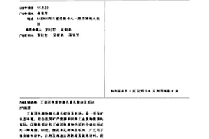 工業固體廢物微孔多孔砌塊及板塊