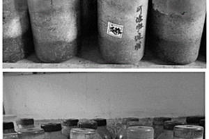 以農林廢棄物為原料的粉紅螺旋聚孢霉固體發酵方法