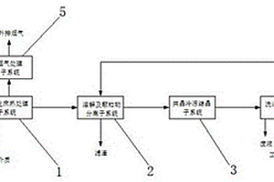 固體廢鹽的純化處理系統及其處理方法