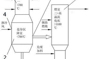 聯合處理高含鹽有機廢液及危險固廢的裝置