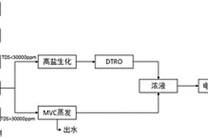 含油固廢清洗廢液處理系統和處理方法