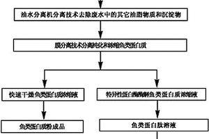 生產魚類蛋白質的方法及生產魚類蛋白肽的方法
