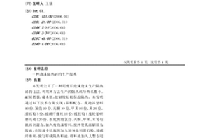 泡沫隔熱磚的生產技術