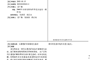 石墨尾礦環保陶瓷生態磚