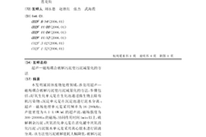 超聲—磁場耦合破解污泥使污泥減量化的方法