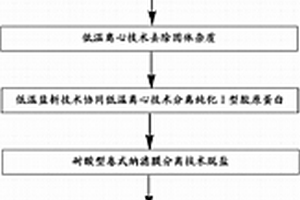 水產副產品源Ⅰ型膠原抗氧化肽的制備工藝