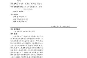 方形點火型煤及其生產方法
