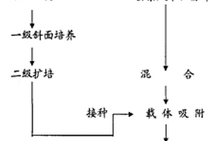 泥炭生物復合菌肥及其生產工藝