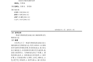 一株能生物修復重金屬污染土壤的菌株及生物修復方法