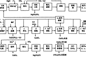 含鎂磷礦的酸解方法