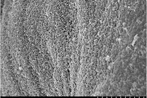 水熱改性棉鈴內殼吸附除氟材料的制備方法