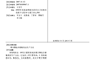 聚合物復合膨脹劑及生產方法