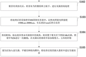廢棄物作基質生產馬鈴薯原種的方法