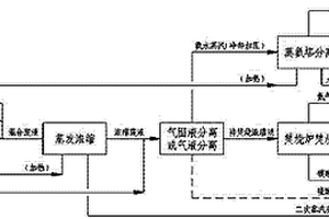 處理與回收己內酰胺生產廢液中有害物質的方法