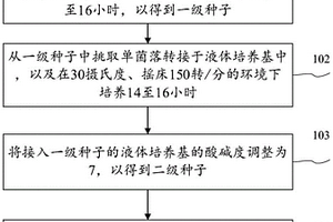 用于降解酚類和木質素的降解菌應用方法