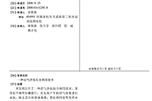 沼氣凈化綜合利用技術