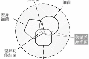 基于細菌群落數據好氧發酵腐殖質化程度預測模型的構建和預測的方法