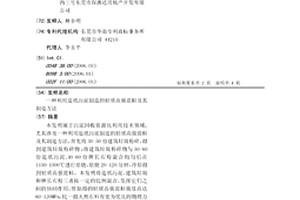 利用造紙污泥制造的輕質高強瓷粒及其制造方法