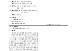 宛氏擬青霉菌株及其應用