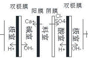 雙極膜法利用磷石膏制備硫酸的方法