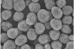制造輕質、高比表面積、花球型納米氫氧化鎂的方法