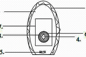 大小便收集護理裝置