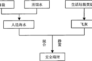 用人造海水穩定生活垃圾焚燒廠飛灰的方法