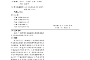 編碼β-葡萄糖苷酶的基因及重組表達載體及重組釀酒酵母表達菌株及應用