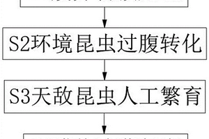 一種利用茭白秸稈獲得白星花金龜繁育叉角厲蝽的方法
