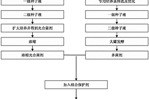 一種復合微生物制劑生產工藝