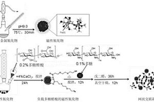 一種網狀交聯凝膠及制備方法和應用