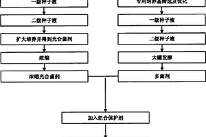 一種復合微生物制劑及其生產工藝